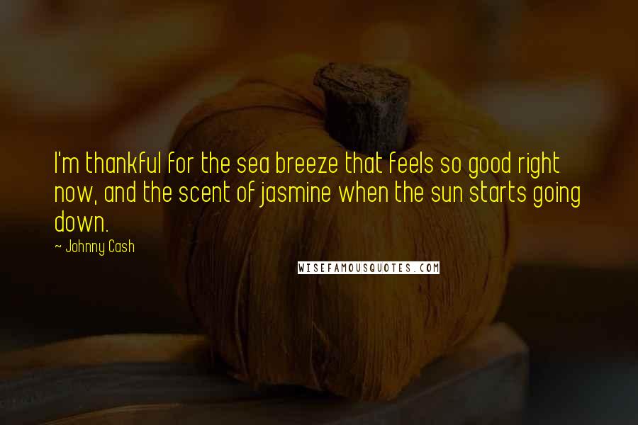 Johnny Cash Quotes: I'm thankful for the sea breeze that feels so good right now, and the scent of jasmine when the sun starts going down.