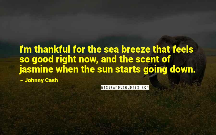 Johnny Cash Quotes: I'm thankful for the sea breeze that feels so good right now, and the scent of jasmine when the sun starts going down.