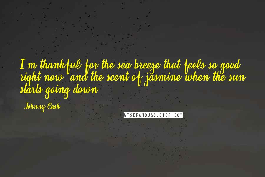 Johnny Cash Quotes: I'm thankful for the sea breeze that feels so good right now, and the scent of jasmine when the sun starts going down.