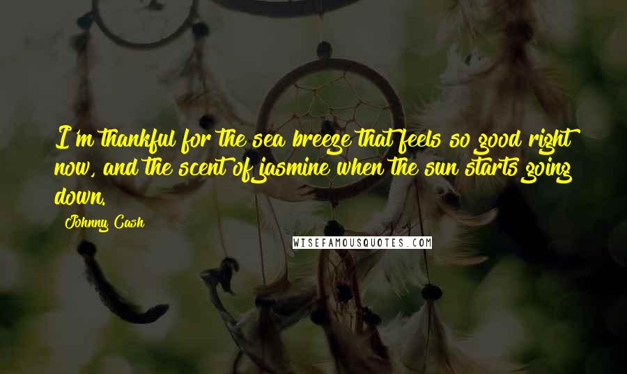 Johnny Cash Quotes: I'm thankful for the sea breeze that feels so good right now, and the scent of jasmine when the sun starts going down.