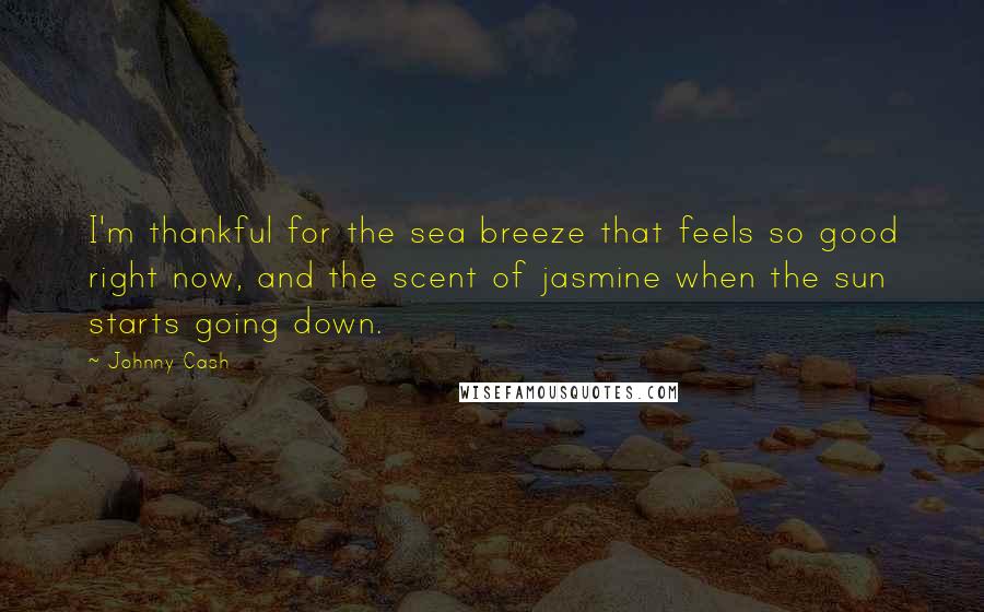 Johnny Cash Quotes: I'm thankful for the sea breeze that feels so good right now, and the scent of jasmine when the sun starts going down.