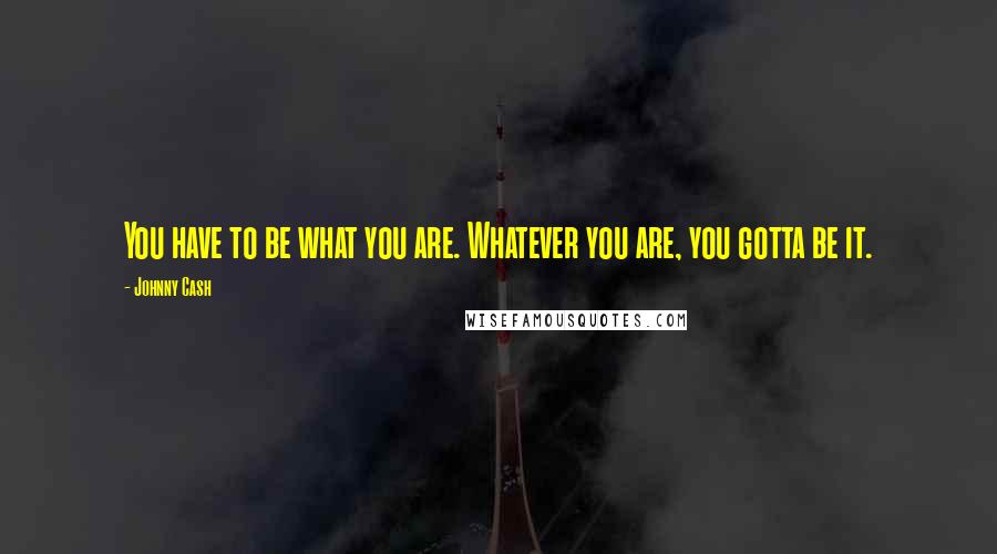 Johnny Cash Quotes: You have to be what you are. Whatever you are, you gotta be it.