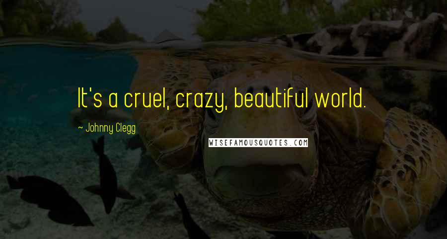 Johnny Clegg Quotes: It's a cruel, crazy, beautiful world.