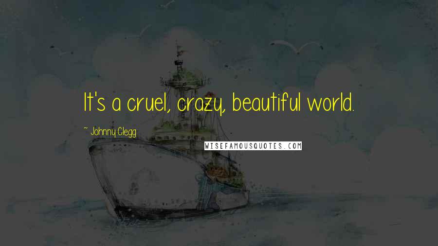 Johnny Clegg Quotes: It's a cruel, crazy, beautiful world.