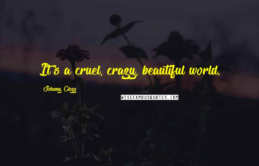 Johnny Clegg Quotes: It's a cruel, crazy, beautiful world.