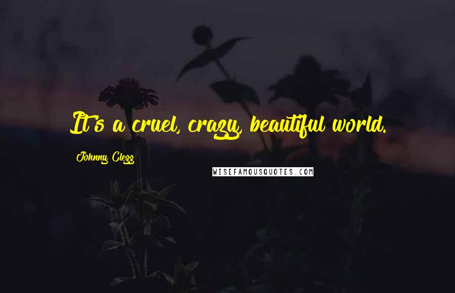 Johnny Clegg Quotes: It's a cruel, crazy, beautiful world.