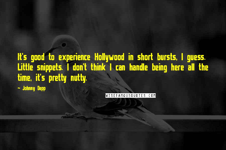 Johnny Depp Quotes: It's good to experience Hollywood in short bursts, I guess. Little snippets. I don't think I can handle being here all the time, it's pretty nutty.