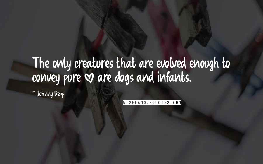 Johnny Depp Quotes: The only creatures that are evolved enough to convey pure love are dogs and infants.