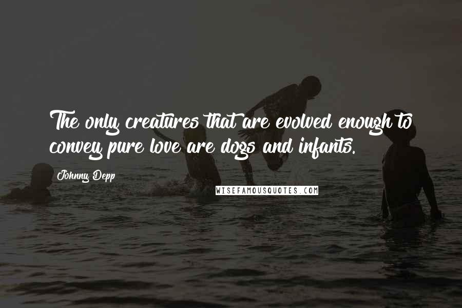 Johnny Depp Quotes: The only creatures that are evolved enough to convey pure love are dogs and infants.