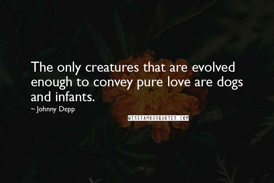 Johnny Depp Quotes: The only creatures that are evolved enough to convey pure love are dogs and infants.