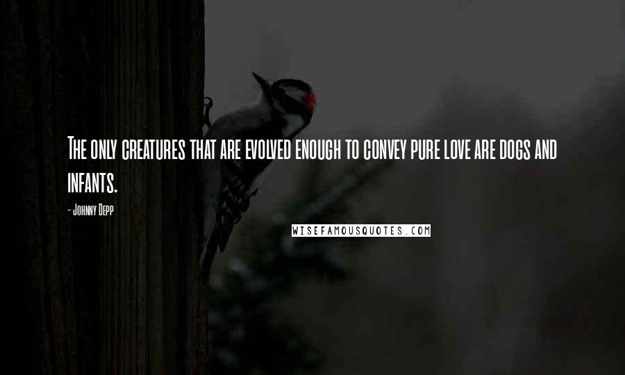 Johnny Depp Quotes: The only creatures that are evolved enough to convey pure love are dogs and infants.