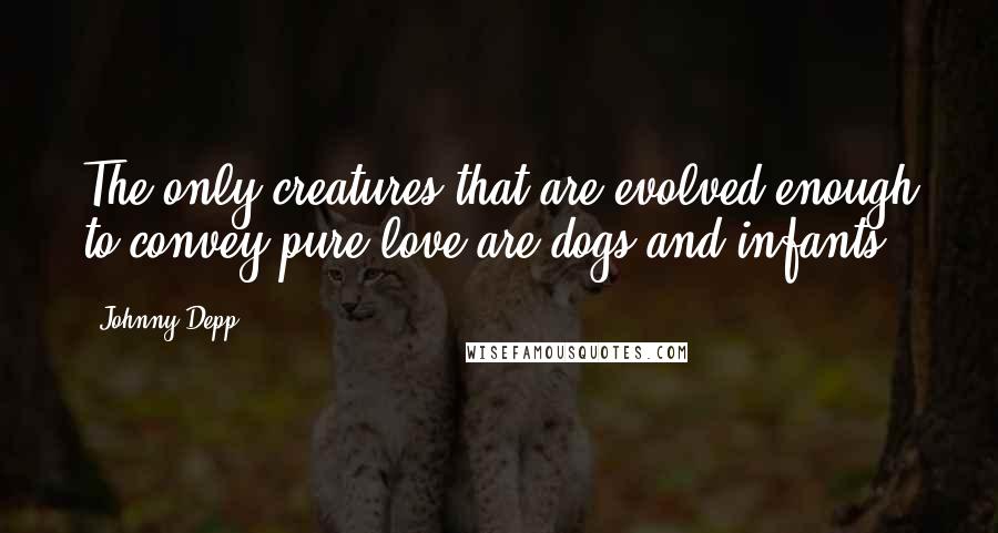 Johnny Depp Quotes: The only creatures that are evolved enough to convey pure love are dogs and infants.