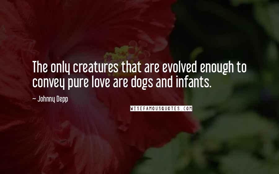 Johnny Depp Quotes: The only creatures that are evolved enough to convey pure love are dogs and infants.