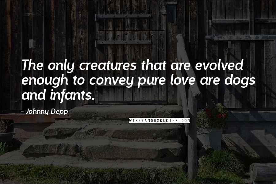 Johnny Depp Quotes: The only creatures that are evolved enough to convey pure love are dogs and infants.