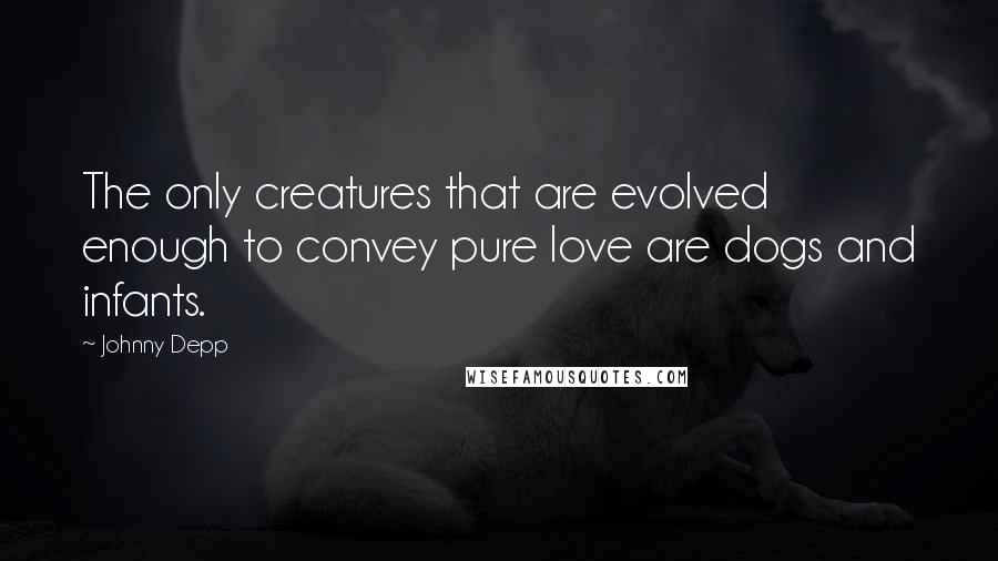 Johnny Depp Quotes: The only creatures that are evolved enough to convey pure love are dogs and infants.