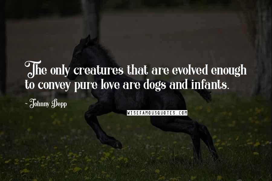 Johnny Depp Quotes: The only creatures that are evolved enough to convey pure love are dogs and infants.