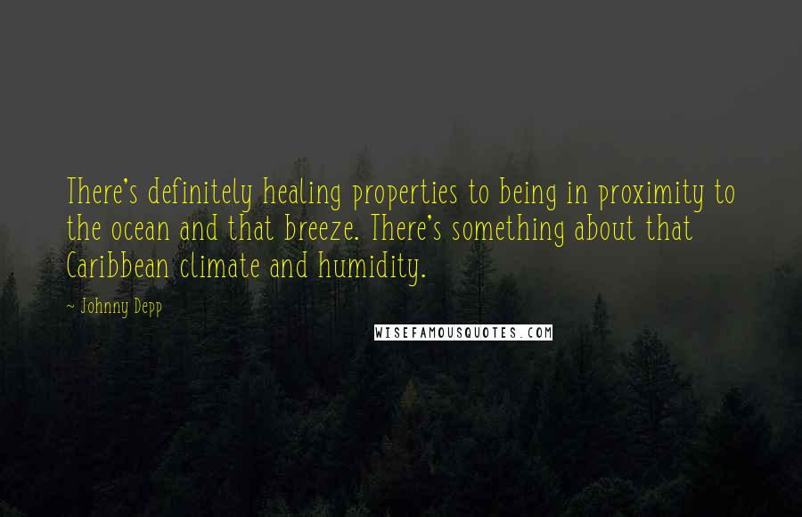 Johnny Depp Quotes: There's definitely healing properties to being in proximity to the ocean and that breeze. There's something about that Caribbean climate and humidity.