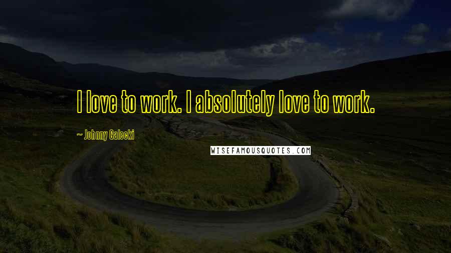 Johnny Galecki Quotes: I love to work. I absolutely love to work.