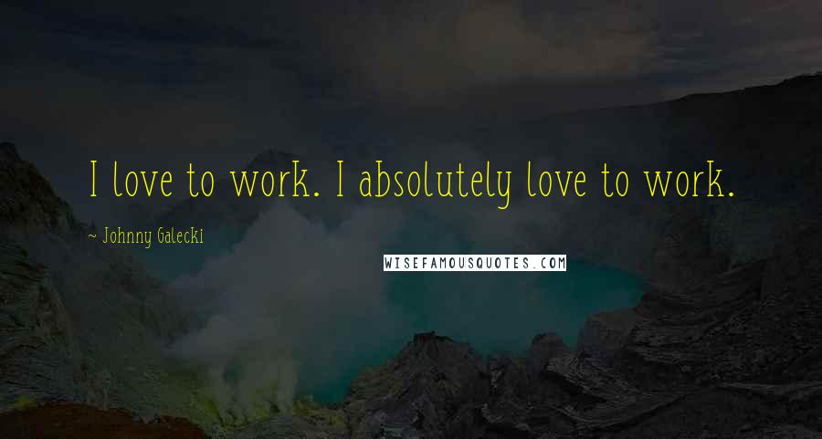 Johnny Galecki Quotes: I love to work. I absolutely love to work.