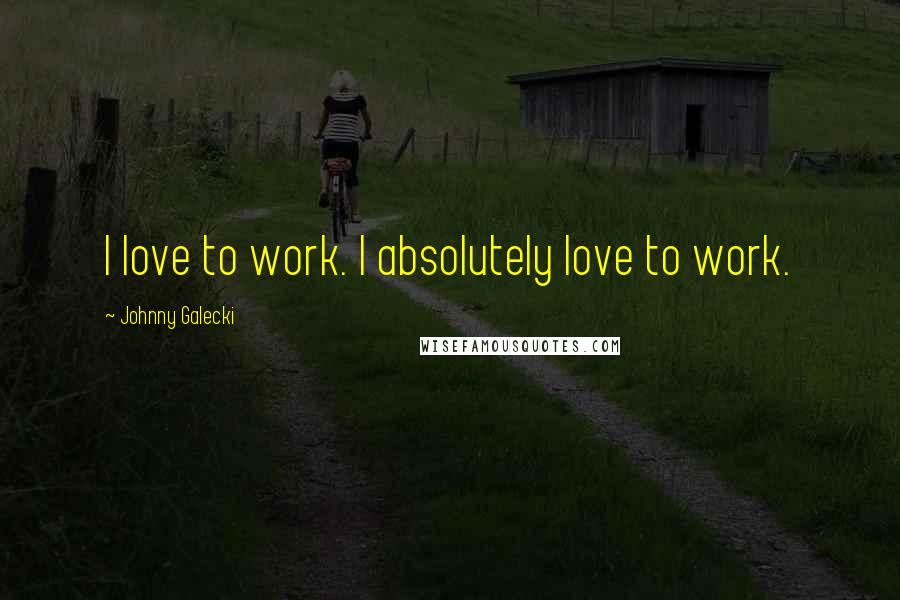 Johnny Galecki Quotes: I love to work. I absolutely love to work.