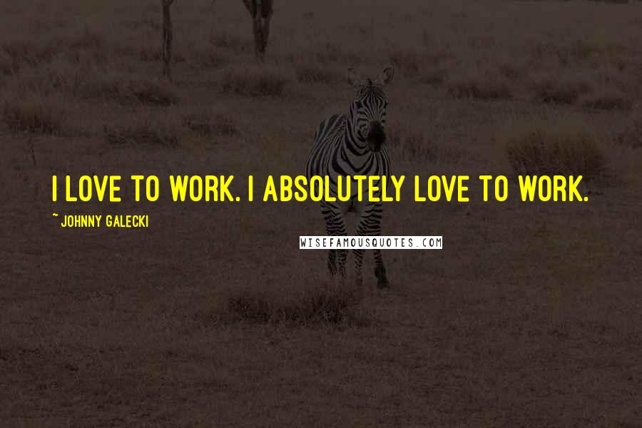 Johnny Galecki Quotes: I love to work. I absolutely love to work.