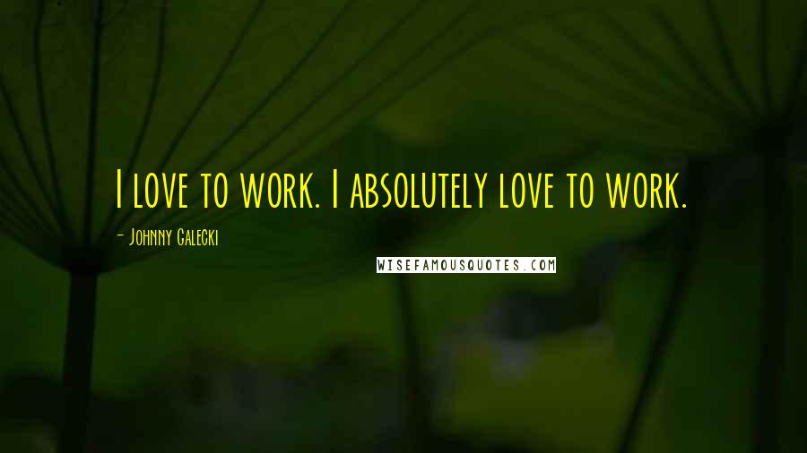 Johnny Galecki Quotes: I love to work. I absolutely love to work.