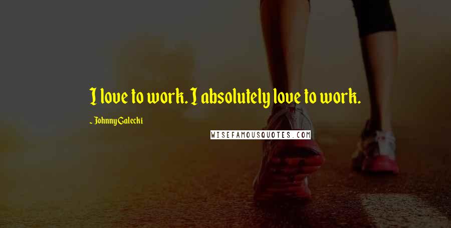 Johnny Galecki Quotes: I love to work. I absolutely love to work.