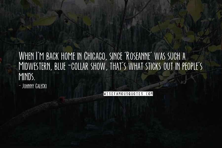 Johnny Galecki Quotes: When I'm back home in Chicago, since 'Roseanne' was such a Midwestern, blue-collar show, that's what sticks out in people's minds.