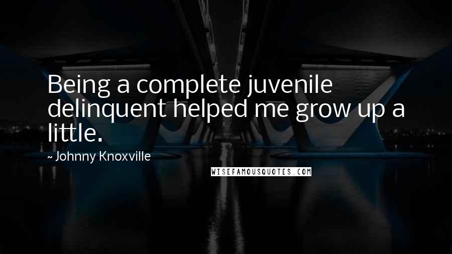 Johnny Knoxville Quotes: Being a complete juvenile delinquent helped me grow up a little.