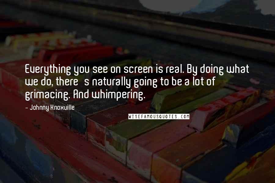 Johnny Knoxville Quotes: Everything you see on screen is real. By doing what we do, there's naturally going to be a lot of grimacing. And whimpering.