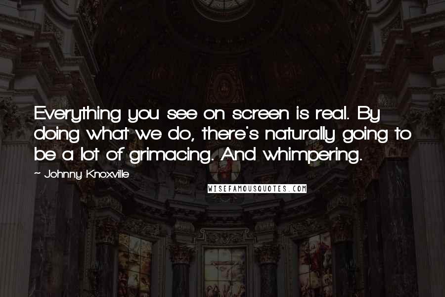 Johnny Knoxville Quotes: Everything you see on screen is real. By doing what we do, there's naturally going to be a lot of grimacing. And whimpering.