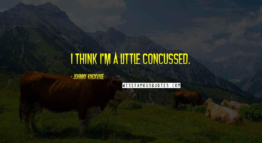 Johnny Knoxville Quotes: I think I'm a little concussed.