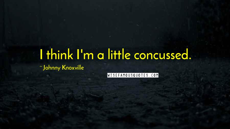 Johnny Knoxville Quotes: I think I'm a little concussed.