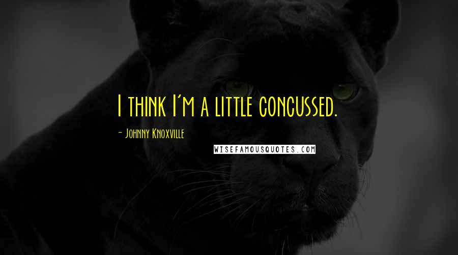 Johnny Knoxville Quotes: I think I'm a little concussed.