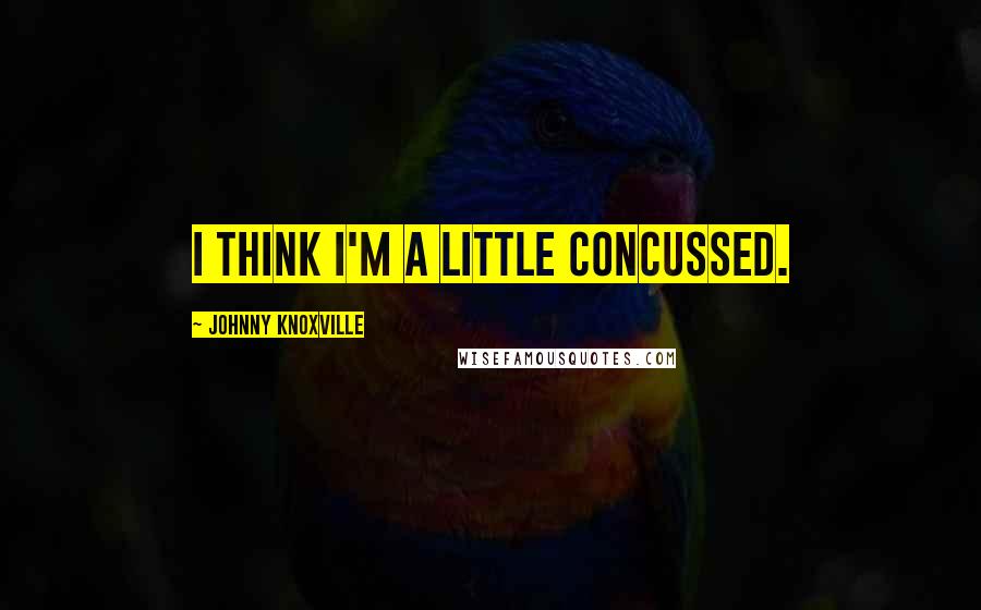 Johnny Knoxville Quotes: I think I'm a little concussed.