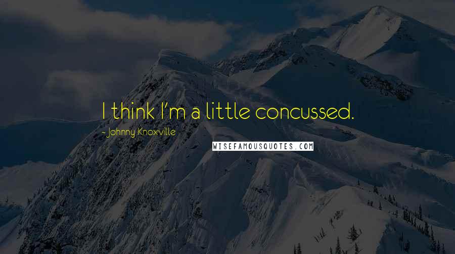 Johnny Knoxville Quotes: I think I'm a little concussed.