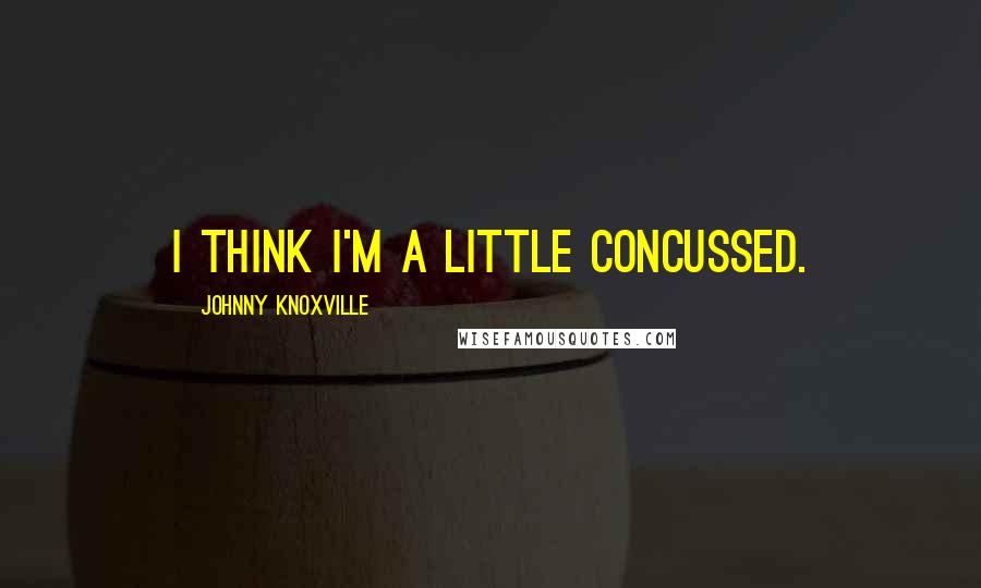 Johnny Knoxville Quotes: I think I'm a little concussed.