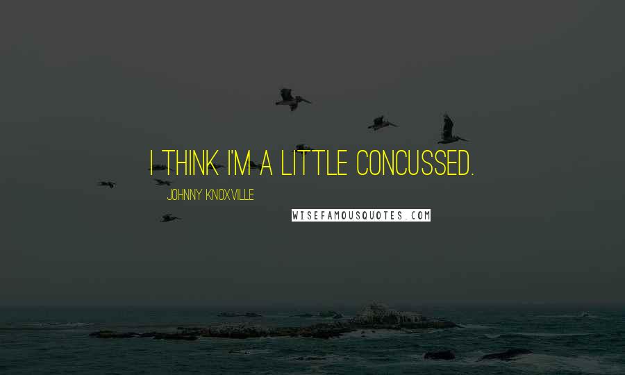 Johnny Knoxville Quotes: I think I'm a little concussed.