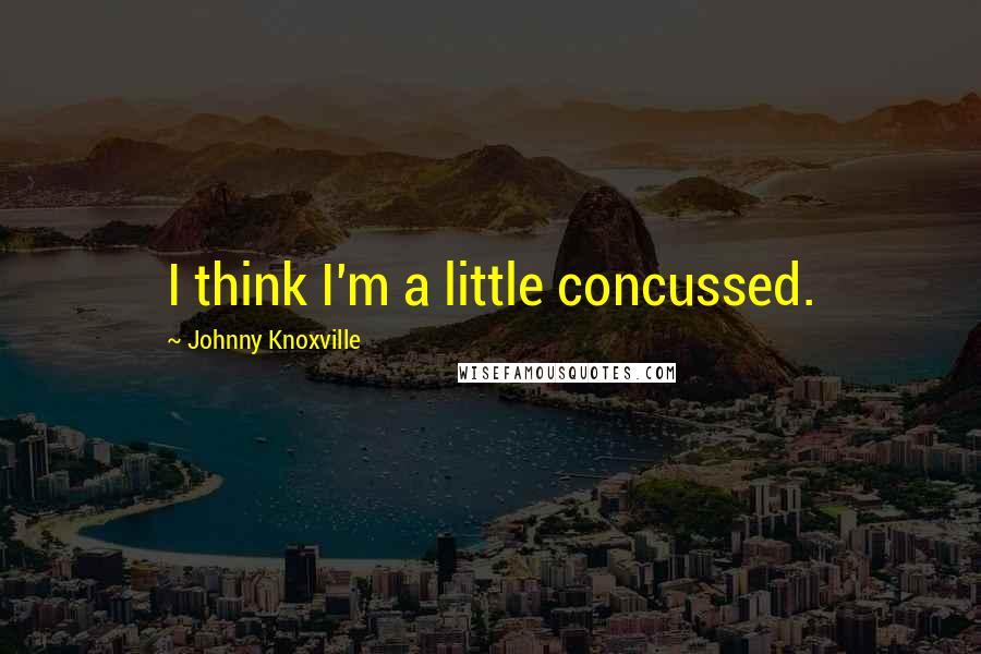 Johnny Knoxville Quotes: I think I'm a little concussed.