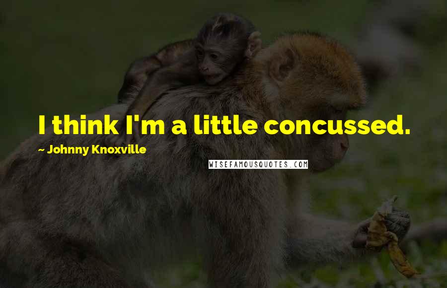 Johnny Knoxville Quotes: I think I'm a little concussed.