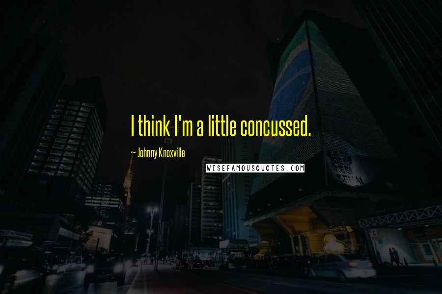 Johnny Knoxville Quotes: I think I'm a little concussed.