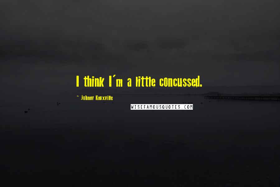 Johnny Knoxville Quotes: I think I'm a little concussed.