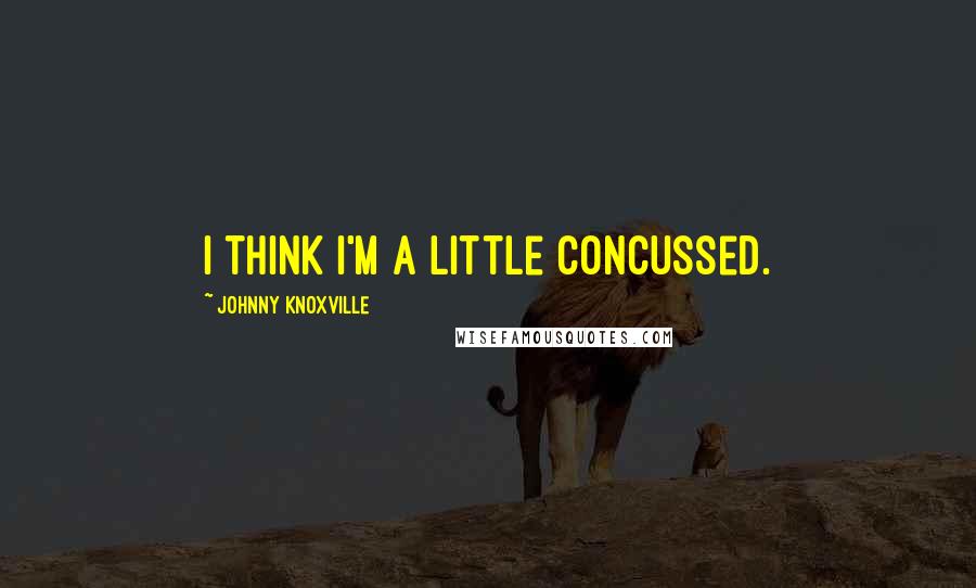 Johnny Knoxville Quotes: I think I'm a little concussed.