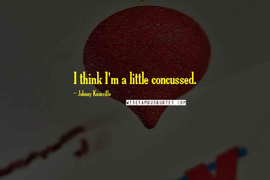 Johnny Knoxville Quotes: I think I'm a little concussed.