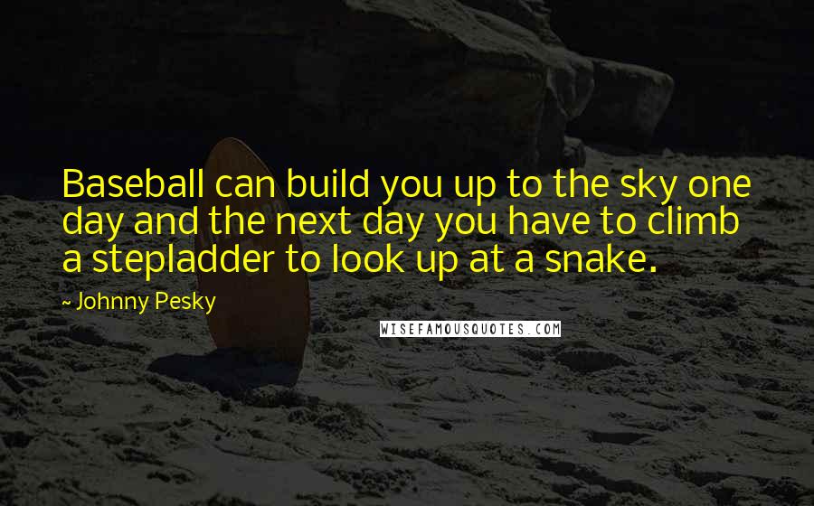 Johnny Pesky Quotes: Baseball can build you up to the sky one day and the next day you have to climb a stepladder to look up at a snake.