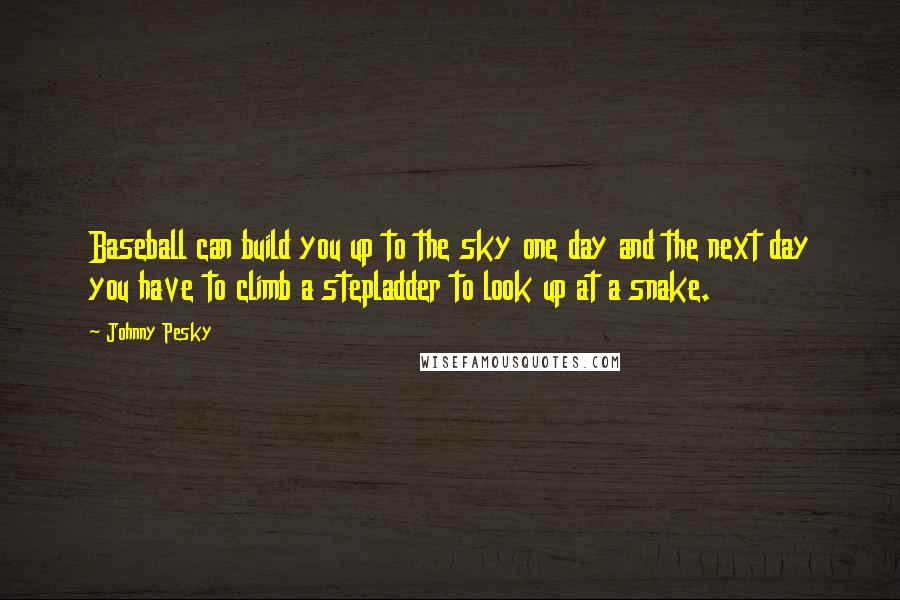 Johnny Pesky Quotes: Baseball can build you up to the sky one day and the next day you have to climb a stepladder to look up at a snake.