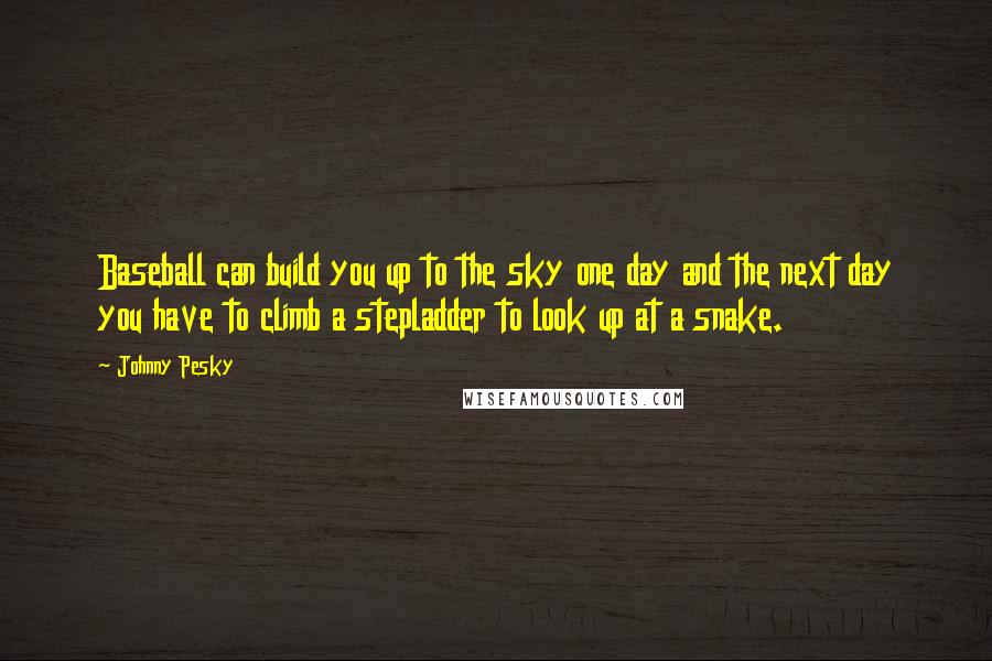 Johnny Pesky Quotes: Baseball can build you up to the sky one day and the next day you have to climb a stepladder to look up at a snake.