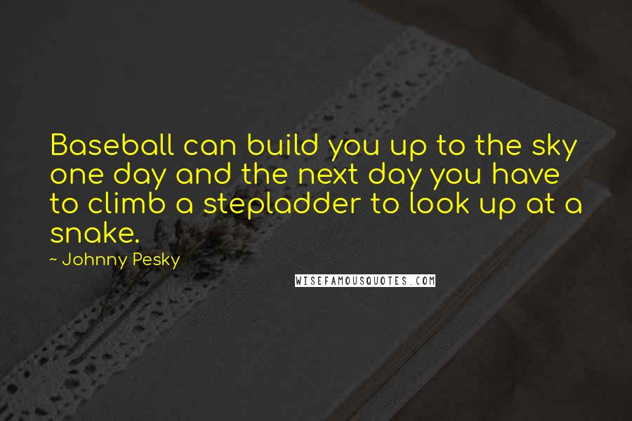Johnny Pesky Quotes: Baseball can build you up to the sky one day and the next day you have to climb a stepladder to look up at a snake.