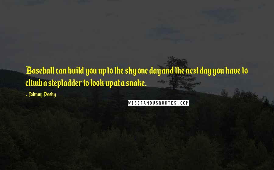 Johnny Pesky Quotes: Baseball can build you up to the sky one day and the next day you have to climb a stepladder to look up at a snake.