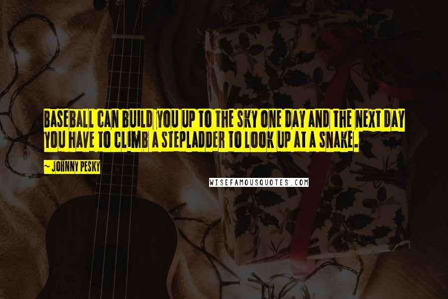 Johnny Pesky Quotes: Baseball can build you up to the sky one day and the next day you have to climb a stepladder to look up at a snake.